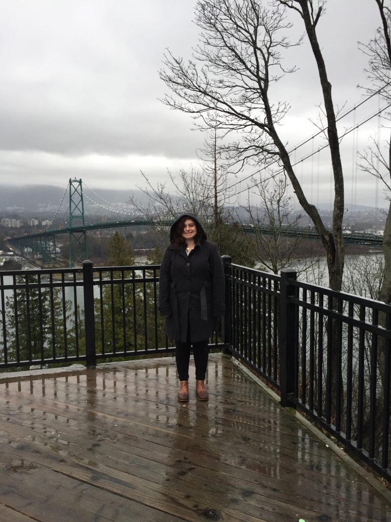 Lions Gate Bridge Overlook-Sights in the Sun Life & Style Blog